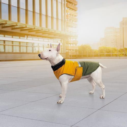 Попона Pet Fashion «Roy» для собак, размер XL, хаки-горчица | Зображення 6