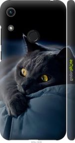 Чохол на Huawei Honor 8A Димчастий кіт "825m-1635-2448"