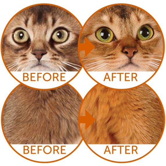 Сухий беззерновий корм для рудих дорослих котів Nature's Protection Superior Care Red Cats Grain Free with Herring for Adult All Breeds | Зображення 2