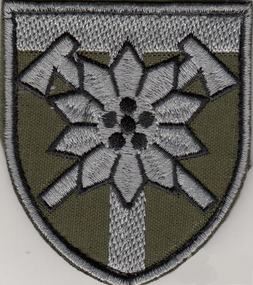 Шеврон 128 ОГШБ