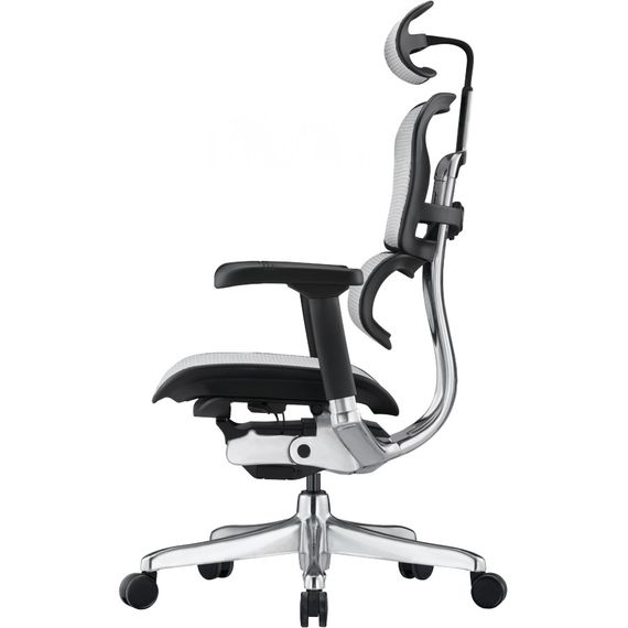 Кресло компьютерное ERGOHUMAN ELITE 2 (EHE2-AB-HAM-5D-L) сетка T-168-B2 NATURAL | Зображення 3