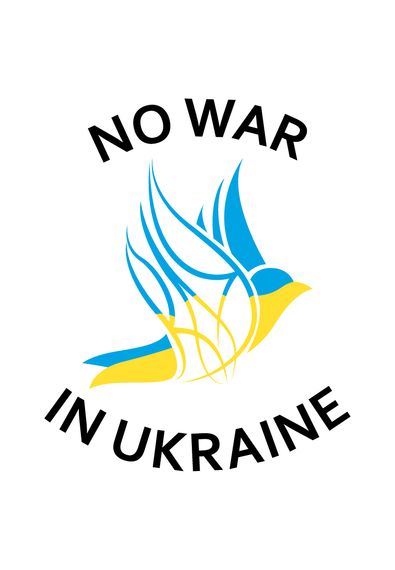 Футболка жіноча біла з принтом "Жовто-блакитний птах", L | Зображення 1