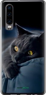 Чохол на Huawei P30 Димчастий кіт "825u-1622-2448"