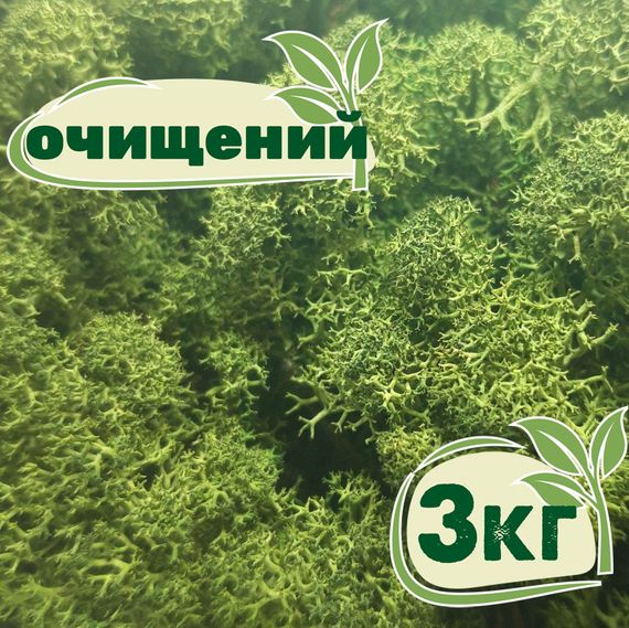 Очищений стабілізований мох ягель Зелений темний 3 кг