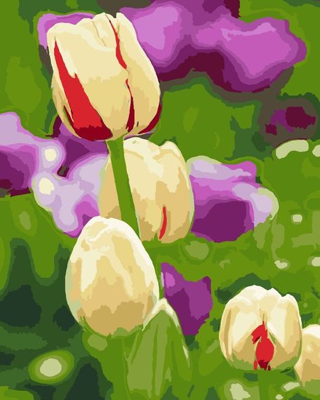 Живые тюльпаны