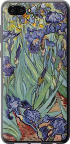 Чехол на Huawei Nova 2S Винсент Ван Гог. Ирисы "161u-1388-17620"