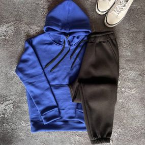 Мужской теплый спортивный костюм на флисе DA2456 размер L цвет синий + черный