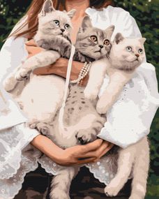 Улюблені муркотики