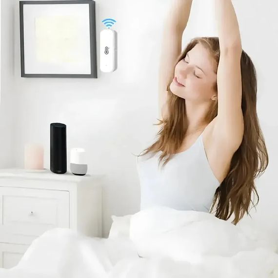 Розумний гігрометр з WiFi, тривалий час роботи від батарейок, XPRO TH01 (234575847_270) | Зображення 2