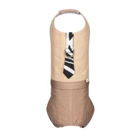 Шлея-костюм Darcy ТМ Pet Fashion для собак М