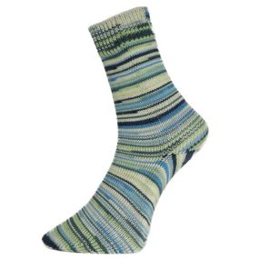 Шкарпеткова пряжа Pro Lana Golden Socks Schonwald, 668
