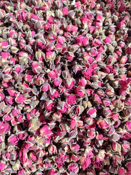 100г. Троянда чайна (бутони)