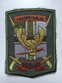 Шеврон Морська піхота ДШБ 36 ОБМП спецназ (олива)