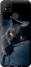 Чохол на Xiaomi Redmi 9C Димчастий кіт "825b-2035-2448"