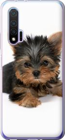 Чехол на Huawei Nova 6 Щенок йоркширского терьера "931u-1821-17620"