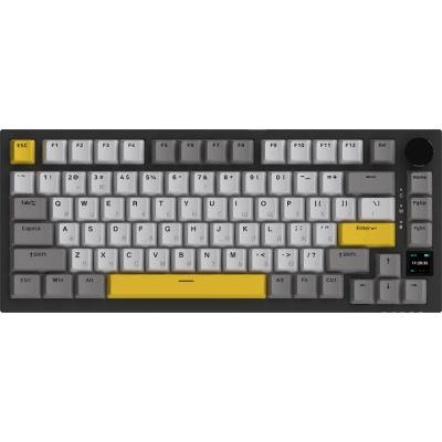 Клавиатура Ajazz AK820 Pro Flying Fish Switch Black RGB USB/Wireless/Bluetooth UA Black (AK820PRO-FF-BGY)