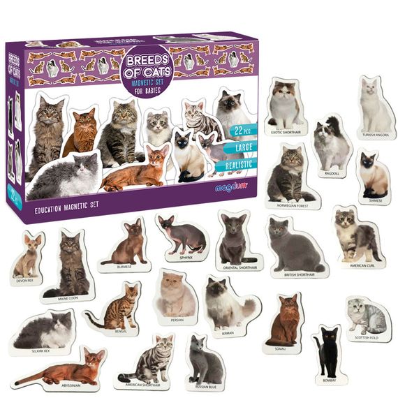 Набор магнитов Magdum "Породы кошек" ML4031-13 EN