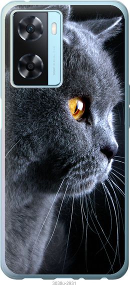 Чехол на Oppo A57s Красивый кот "3038u-2931-17620"