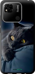 Чохол на Xiaomi Redmi 10A Димчастий кіт "825b-2578-2448"