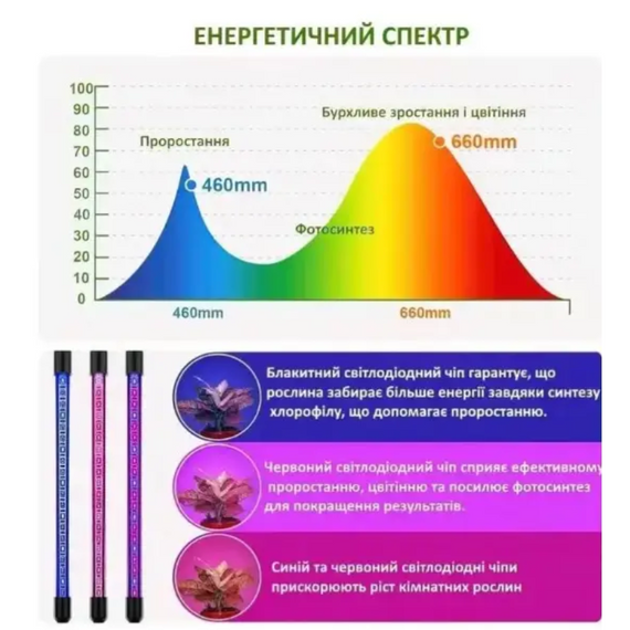 Фітолампа на прищіпці з таймером для вирощування рослин на 4 led модулі USB 3 режиму | Зображення 7