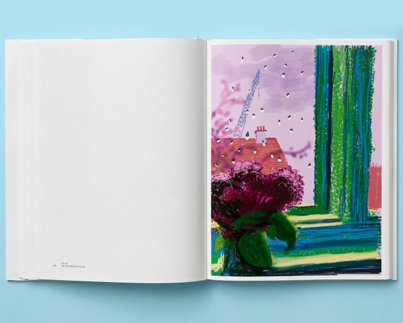 Книги про живопис та художників творчість Девіда Хокни David Hockney. My Window Книги для художників | Зображення 7