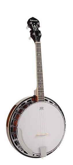 Банджо Richwood RMB-604-SS