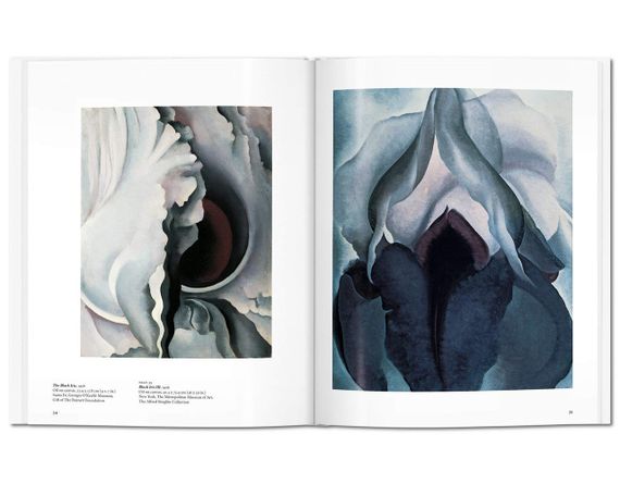 Книги для художников живопись Джорджии О’Кифф O'Keeffe. Britta Benke, Taschen книги про искусство на | Зображення 1