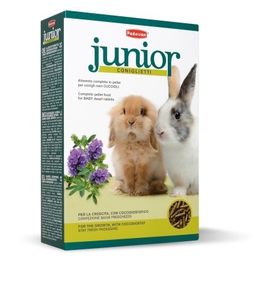 Корм для молодых декоративных кроликов Padovan Coniglietti Junior, 850 гр
