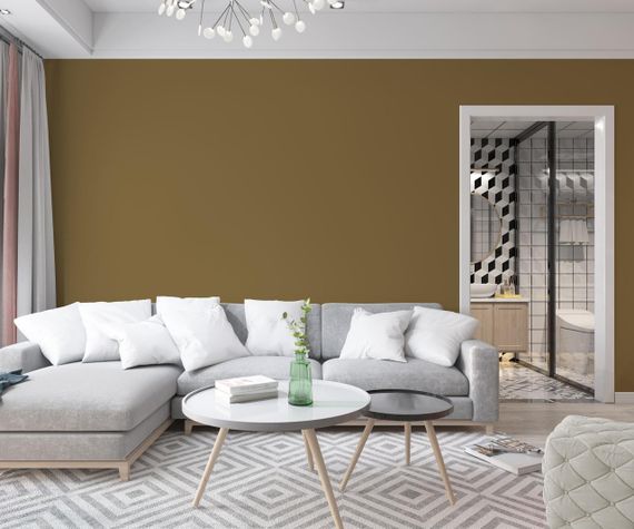 Краска Интерьерная Латексная Skyline 6020-Y20R (C) Арахис 1л | Зображення 2