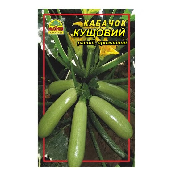 Насіння кабачок Кущовий — 10 г