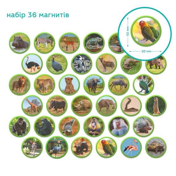 Дитячий магнітний набір Монтесорі "Тварини на континентах: Африка" 200284, 36 елементів | Зображення 3