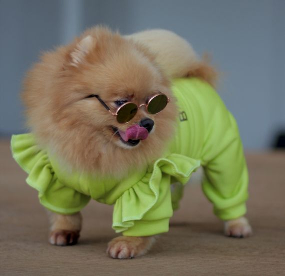 Костюм трьохнитка рюша оливка D-166 | Зображення 1