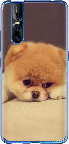 Чехол на Vivo V15 pro Boo 2 "890u-1763-17620"