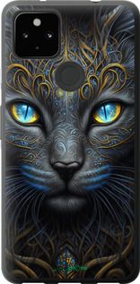Чохол на Google Pixel 5A Кішка "5548t-2286-2448"