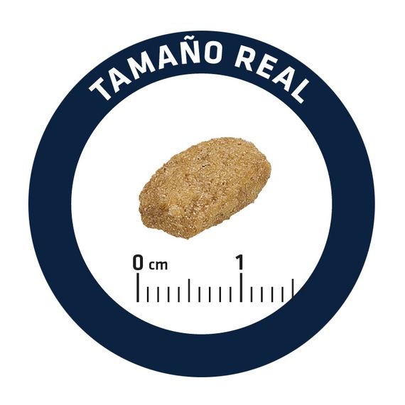 Сухий корм з індичкою для стерилізованих котів Advance Cat Sterilized Turkey, 400 гр | Зображення 1