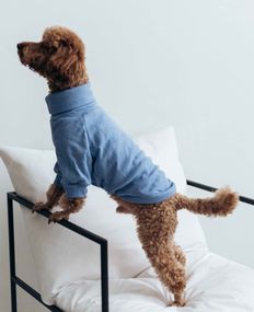 Гольф небесний Y-318