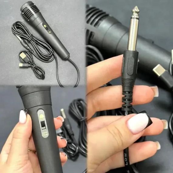 Бездротова караоке колонка з мікрофоном та RGB-підсвічуванням Sing-e ZQS8148 | Зображення 4