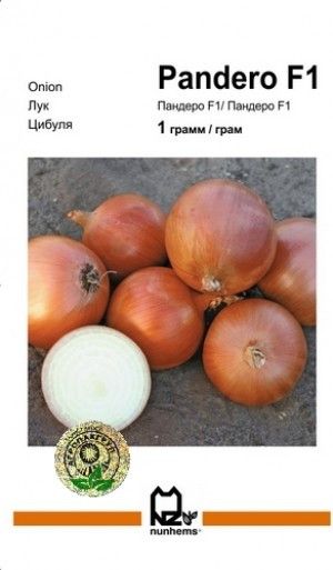 Цибуля Пандеро F1 1 г Агропакгруп
