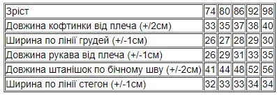 Комплект ясельний для хлопчика Носи своє 74 Блакитний (p-15303-175020) | Зображення 6
