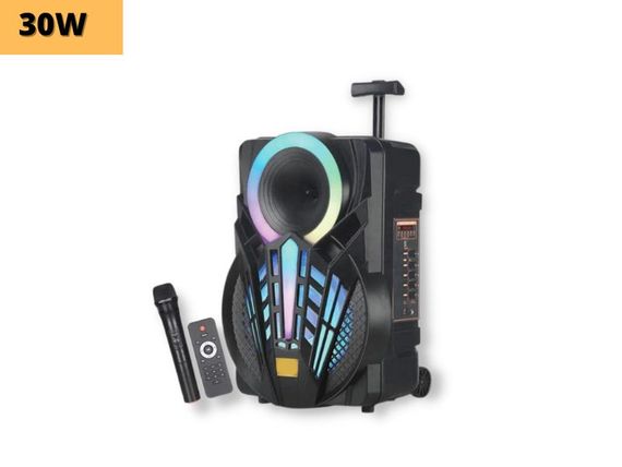 Портативная колонка XPRO GZ-P12 чемодан  30Вт, USB, SD, FM радио, Bluetooth, 1 микрофон, ДУ (MER-15681) | Зображення 1