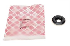 Підшипник амортизатора опорний Renault Kangoo 97-09 10089