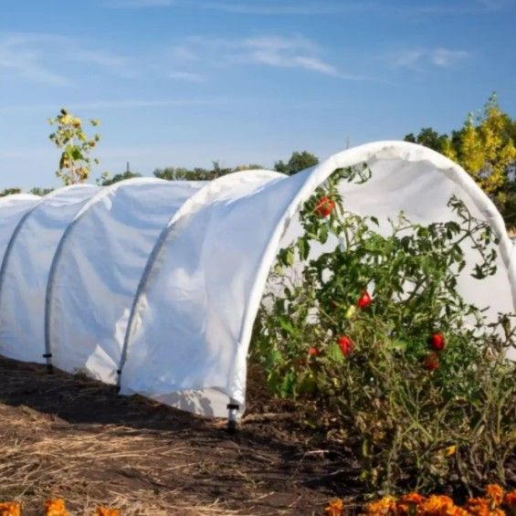 Парник Shadow 60 г/м2 для дачі 5 м ПАВ000161 | Зображення 2