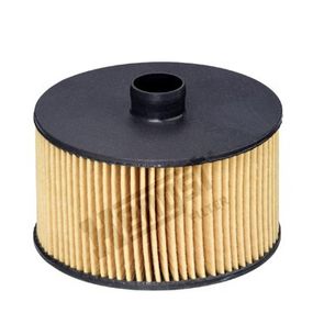 Фильтр масляный Mercedes Benz Citan / Renault Dokker/Kangoo 1.2 TCe 12-, Hengst, E823H D263,