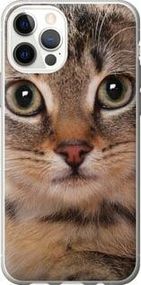 Чохол для Apple iPhone 12 з силікону FCh_049480