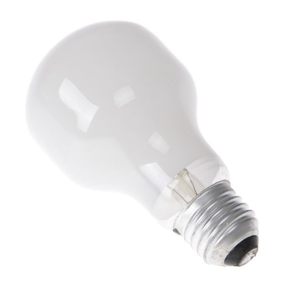 Лампа накаливания декоративная 40W E27 WW T60 SOFT TONE 220V | Зображення 3