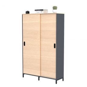 Шкаф офисный раздвижной Loft Design LS-1200-1900 антрацитборас