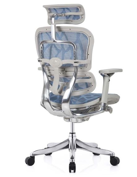 Кресло компьютерное ERGOHUMAN Plus Luxury (EHPL-AG-HAM-ZB5) Blue | Зображення 2