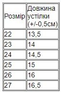 Черевики для хлопчика (зима) Носи своє 22 Синій (p-12876-143597) | Зображення 1