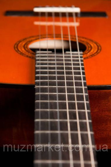 Гітара класична Washburn C5 | Зображення 5