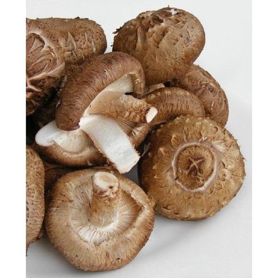 Грибний блок шиїтаке 5 кг | Зображення 1